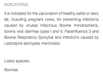 INDICATIONS: It is indicated for the vaccination of healthy cattle or dairy fat, including pregnant cows; for preventing infections caused by viruses Infectious Bovine rhinotracheitis, bovine viral diarrhea types I and II, Parainfluenza 3 and Bovine Respiratory Syncytial and infections caused by Leptospira serotypes mentioned. Listed species: Bovines.