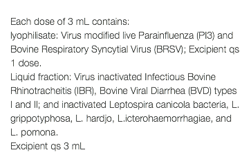  Each dose of 3 mL contains: lyophilisate: Virus modified live Parainfluenza (PI3) and Bovine Respiratory Syncytial Virus (BRSV); Excipient qs 1 dose. Liquid fraction: Virus inactivated Infectious Bovine Rhinotracheitis (IBR), Bovine Viral Diarrhea (BVD) types I and II; and inactivated Leptospira canicola bacteria, L. grippotyphosa, L. hardjo, L.icterohaemorrhagiae, and L. pomona. Excipient qs 3 mL 