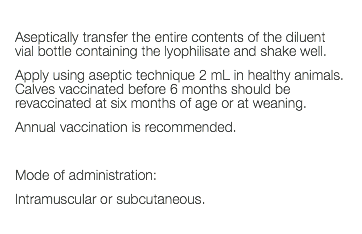  Aseptically transfer the entire contents of the diluent vial bottle containing the lyophilisate and shake well. Apply using aseptic technique 2 mL in healthy animals. Calves vaccinated before 6 months should be revaccinated at six months of age or at weaning. Annual vaccination is recommended. Mode of administration: Intramuscular or subcutaneous. 