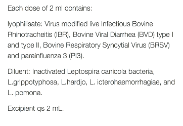 Each dose of 2 ml contains: lyophilisate: Virus modified live Infectious Bovine Rhinotracheitis (IBR), Bovine Viral Diarrhea (BVD) type I and type II, Bovine Respiratory Syncytial Virus (BRSV) and parainfluenza 3 (PI3). Diluent: Inactivated Leptospira canicola bacteria, L.grippotyphosa, L.hardjo, L. icterohaemorrhagiae, and L. pomona. Excipient qs 2 mL. 