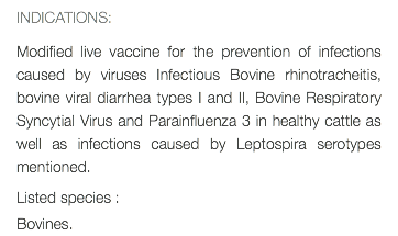 INDICATIONS: Modified live vaccine for the prevention of infections caused by viruses Infectious Bovine rhinotracheitis, bovine viral diarrhea types I and II, Bovine Respiratory Syncytial Virus and Parainfluenza 3 in healthy cattle as well as infections caused by Leptospira serotypes mentioned. Listed species : Bovines.