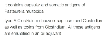 It contains capsular and somatic antigens of Pasteurella multocida type A Clostridium chauvoei septicum and Clostridium as well as toxins from Clostridium. All these antigens are emulsified in an oil adjuvant. 