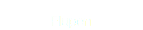 Flupen