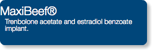 MaxiBeef® Trenbolone acetate and estradiol benzoate implant.