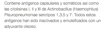 Contiene antígenos capsulares y somáticos así como las citolisinas I, II y III de Actinobacillus (Haemophilus)Pleuropneumoniae serotipos 1,3,5 y 7. Todos estos antígenos han sido inactivados y emulsificados con un adyuvante oleoso.