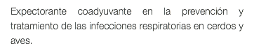 Expectorante coadyuvante en la prevención y tratamiento de las infecciones respiratorias en cerdos y aves.