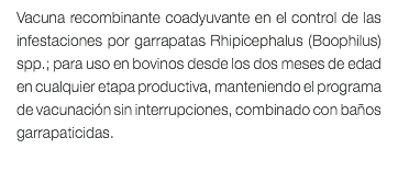 Vacuna recombinante coadyuvante en el control de las infestaciones por garrapatas Rhipicephalus (Boophilus) spp.; para uso en bovinos desde los dos meses de edad en cualquier etapa productiva, manteniendo el programa de vacunación sin interrupciones, combinado con baños garrapaticidas. 