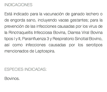 INDICACIONES Está indicado para la vacunación de ganado lechero o de engorda sano, incluyendo vacas gestantes; para la prevención de las infecciones causadas por los virus de la Rinotraqueítis Infecciosa Bovina, Diarrea Viral Bovina tipos I y II, Parainfluenza 3 y Respiratorio Sincitial Bovino, así como infecciones causadas por los serotipos mencionados de Leptospira. ESPECIES INDICADAS: Bovinos. 