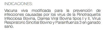 INDICACIONES: Vacuna viva modificada para la prevención de infecciones causadas por los virus de la Rinotraqueítis Infecciosa Bovina, Diarrea Viral Bovina tipos I y II, Virus Respiratorio Sincitial Bovino y Parainfluenza 3 en ganado sano.