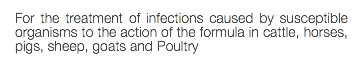 For the treatment of infections caused by susceptible organisms to the action of the formula in cattle, horses, pigs, sheep, goats and Poultry