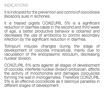 INDICATIONS It is indicated for the prevention and control of coccidiosis (Isospora suis) in lechones. It is treated piglets COXIZURIL 5% is a significant reduction in diarrhea cases in the second and third week of age, a better productive behavior is obtained and decreases the use of antibiotics to control secondary infection by the significant reduction in diarrhea. Toltrazuril induces changes during the stage of development of coccidia intracellular, mainly due to vacuolation of the endoplasmic reticulum, decreasing nuclear division. COXIZURIL 5% acts against all stages of development of coccidia, interferes nuclear division protozoan, affects the activity of mitochondria and damages corpuscles forming the wall in microgametes. Therefore COXIZURIL 5% is an effective coccidicide as it destroys parasites in different stages of development. 