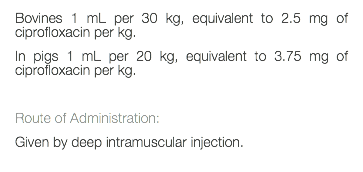 Bovines 1 mL per 30 kg, equivalent to 2.5 mg of ciprofloxacin per kg. In pigs 1 mL per 20 kg, equivalent to 3.75 mg of ciprofloxacin per kg. Route of Administration: Given by deep intramuscular injection. 