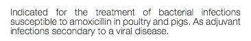 Indicated for the treatment of bacterial infections susceptible to amoxicillin in poultry and pigs. As adjuvant infections secondary to a viral disease.