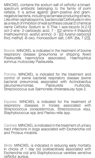 MINOXEL contains the sodium salt of ceftiofur a broad-spectrum antibiotic belonging to the family of porin cefalos. It is active against gram-positive and gram-negative bacteria, including lactamase producing strains. Like other cephalosporins, bactericidal Ceftiofures in vitro as a result of inhibition of wall synthesis celular.El chemical name Ceftiofur Sodium is: 5-Thia-1-aza-bicyclo [4.2.0] oct-2-ene- 2-carboxylic acid, 7 - [[(2-amino-4-thiazolyl) (methoxyimino) -acetyl] amino] -3 - [[(2-furanyl-carbonyl) thio] methyl] -8-oxo, monosodium salt, [-6R- [6a, 7 (Z)]]. Bovine: MINOXEL is indicated in the treatment of bovine respiratory disease (pneumonia or shipping fever) Pasteurella haemolytica associated, Haemophilus somnus multociday Pasteurella. Porcine: MINOXEL is indicated for the treatment and control of swine bacterial respiratory disease (swine bacterial pneumonia) associated with Actinobacillus pleuropneumoniae, Pasteurella multocida, Streptococcus suis Salmonella choleraesuisy type 2. Equines: MINOXEL is indicated for the treatment of respiratory diseases in horses associated with Streptococcus zooepidemicus, Streptococcus equi, Staphylococcus spp and Pasteu-rella spp. Canines: MINOXEL is indicated in the treatment of urinary tract infections in dogs associated with Escherichia coli and Proteus mirabilis. Birds: MINOXEL is indicated in reducing early mortality in chicks of 1 day old (colibacillosis) associated with Escherichia coli and Staphylococcus varieties sensitive ceftiofur aureus.