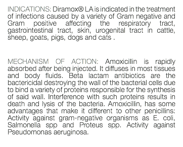 INDICATIONS: Diramox® LA is indicated in the treatment of infections caused by a variety of Gram negative and Gram positive affecting the respiratory tract, gastrointestinal tract, skin, urogenital tract in cattle, sheep, goats, pigs, dogs and cats . MECHANISM OF ACTION: Amoxicillin is rapidly absorbed after being injected. It diffuses in most tissues and body fluids. Beta lactam antibiotics are the bactericidal destroying the wall of the bacterial cells due to bind a variety of proteins responsible for the synthesis of said wall. Interference with such proteins results in death and lysis of the bacteria. Amoxicillin, has some advantages that make it different to other penicillins: Activity against gram-negative organisms as E. coli, Salmonella spp and Proteus spp. Activity against Pseudomonas aeruginosa. 