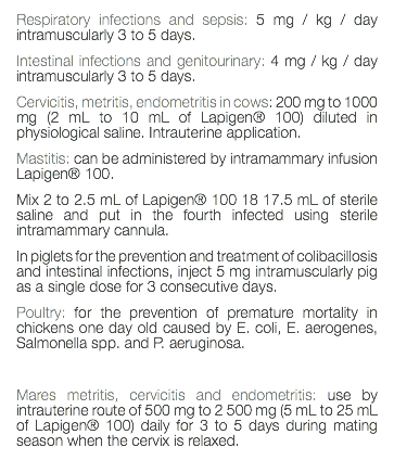 Respiratory infections and sepsis: 5 mg / kg / day intramuscularly 3 to 5 days. Intestinal infections and genitourinary: 4 mg / kg / day intramuscularly 3 to 5 days. Cervicitis, metritis, endometritis in cows: 200 mg to 1000 mg (2 mL to 10 mL of Lapigen® 100) diluted in physiological saline. Intrauterine application. Mastitis: can be administered by intramammary infusion Lapigen® 100. Mix 2 to 2.5 mL of Lapigen® 100 18 17.5 mL of sterile saline and put in the fourth infected using sterile intramammary cannula. In piglets for the prevention and treatment of colibacillosis and intestinal infections, inject 5 mg intramuscularly pig as a single dose for 3 consecutive days. Poultry: for the prevention of premature mortality in chickens one day old caused by E. coli, E. aerogenes, Salmonella spp. and P. aeruginosa. Mares metritis, cervicitis and endometritis: use by intrauterine route of 500 mg to 2 500 mg (5 mL to 25 mL of Lapigen® 100) daily for 3 to 5 days during mating season when the cervix is relaxed. 