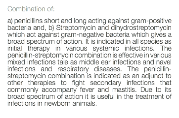 Combination of: a) penicillins short and long acting against gram-positive bacteria and, b) Streptomycin and dihydrostreptomycin which act against gram-negative bacteria which gives a broad spectrum of action. It is indicated in all species as initial therapy in various systemic infections. The penicillin-streptomycin combination is effective in various mixed infections tale as middle ear infections and navel infections and respiratory diseases. The penicillin-streptomycin combination is indicated as an adjunct to other therapies to fight secondary infections that commonly accompany fever and mastitis. Due to its broad spectrum of action it is useful in the treatment of infections in newborn animals. 