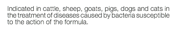 Indicated in cattle, sheep, goats, pigs, dogs and cats in the treatment of diseases caused by bacteria susceptible to the action of the formula.