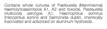 Contains whole cultures of Pasteurella (Mannheimia) haemolyticaserotipos A1, A2 and toxoids, Pasteurella multocida serotype A1, Haemophilus somnus (Histophilus somni) and Salmonella dublin, chemically inactivated and adsorbed on aluminum hydroxide. 