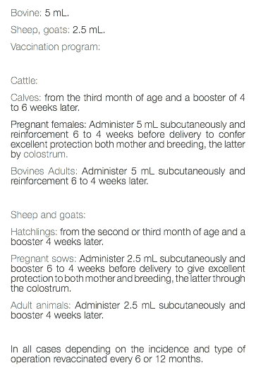 Bovine: 5 mL. Sheep, goats: 2.5 mL. Vaccination program: Cattle: Calves: from the third month of age and a booster of 4 to 6 weeks later. Pregnant females: Administer 5 mL subcutaneously and reinforcement 6 to 4 weeks before delivery to confer excellent protection both mother and breeding, the latter by colostrum. Bovines Adults: Administer 5 mL subcutaneously and reinforcement 6 to 4 weeks later. Sheep and goats: Hatchlings: from the second or third month of age and a booster 4 weeks later. Pregnant sows: Administer 2.5 mL subcutaneously and booster 6 to 4 weeks before delivery to give excellent protection to both mother and breeding, the latter through the colostrum. Adult animals: Administer 2.5 mL subcutaneously and booster 4 weeks later. In all cases depending on the incidence and type of operation revaccinated every 6 or 12 months. 