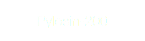 Pylosin-200