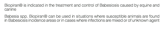 Biopiran® is indicated in the treatment and control of Babesiosis caused by equine and canine Babesia spp. Biopiran® can be used in situations where susceptible animals are found in Babesiosis incidence areas or in cases where infections are mixed or of unknown agent 