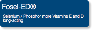  Fosel-ED® Selenium / Phosphor more Vitamins E and D long-acting