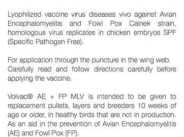  Lyophilized vaccine virus diseases vivo against Avian Encephalomyelitis and Fowl Pox Calnek strain, homologous virus replicates in chicken embryos SPF (Specific Pathogen Free). For application through the puncture in the wing web. Carefully read and follow directions carefully before applying the vaccine. Volvac® AE + FP MLV is intended to be given to replacement pullets, layers and breeders 10 weeks of age or older, in healthy birds that are not in production. As an aid in the prevention of Avian Encephalomyelitis (AE) and Fowl Pox (FP).